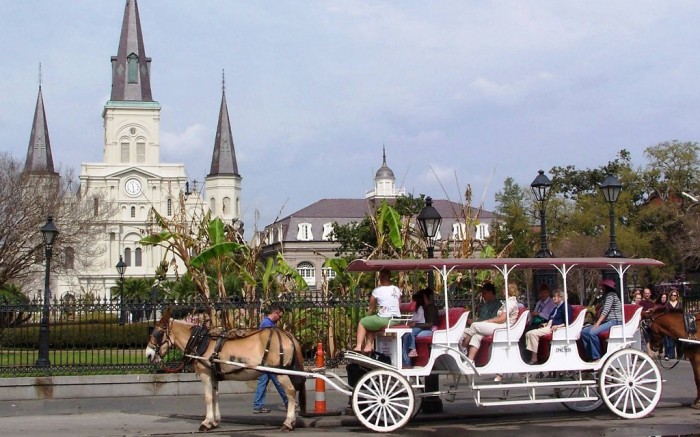 Carriage-Travel-New-Orleans-Louisiana-United-States