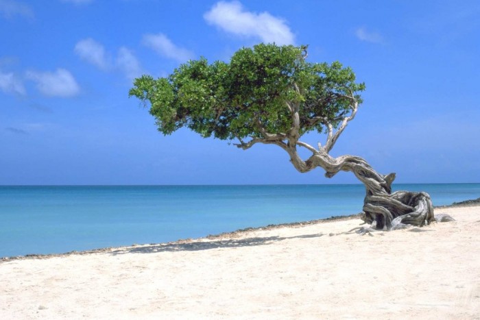 Most-beautiful-Caribbean-beaches-in-Aruba