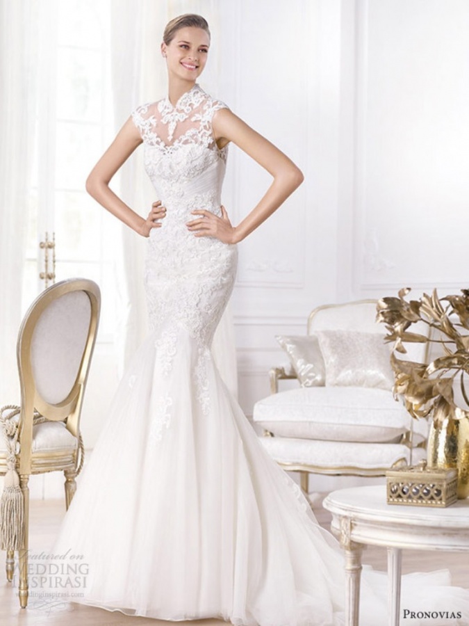 stunning-pronovias-2014-wedding-dresses-pre-collection-13