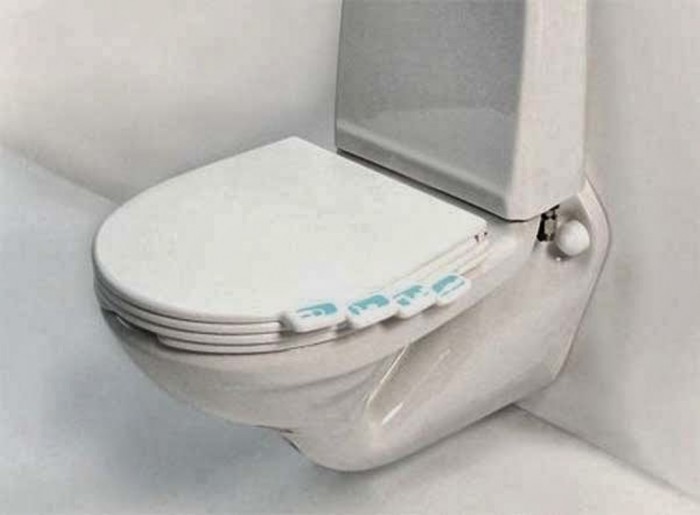 unique idea for your toilet seat