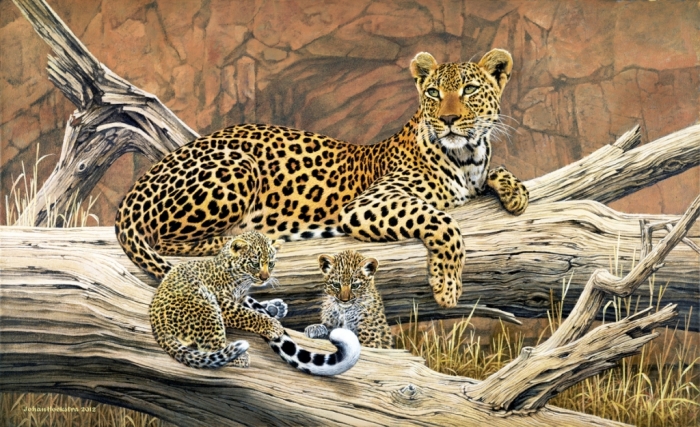 leopard-and-cubs-2012-johan-hoekstra-wildlife-art-available-print