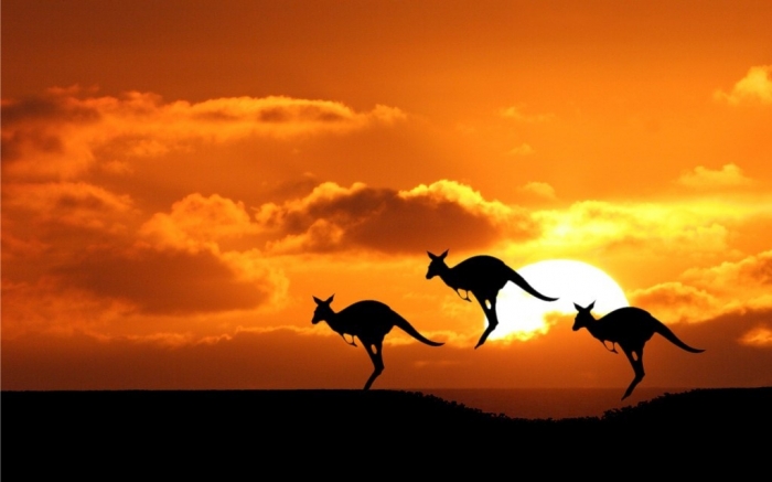 Australia-The-Sun-Silhouettes-Kangaroos