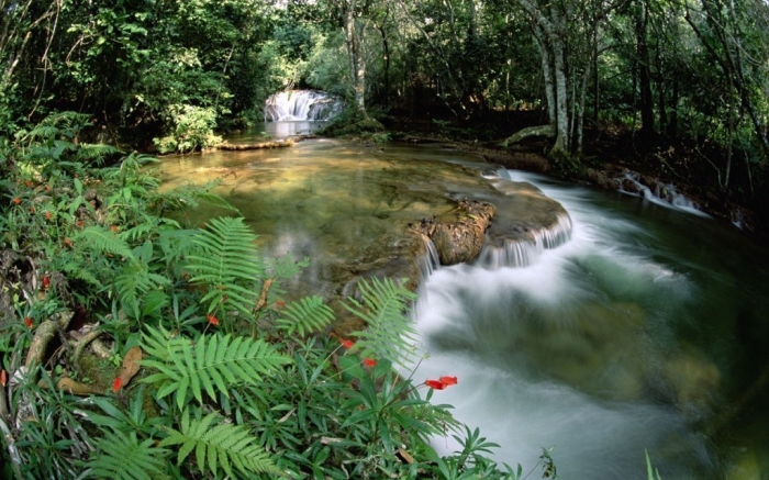 Brazil Limestone springs and waterfalls, Serra de Bodoquena at Mato Grosso, Brazil