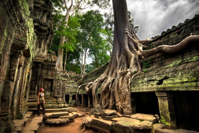 Cambodia Ta-Prohm-temple-Cambodia