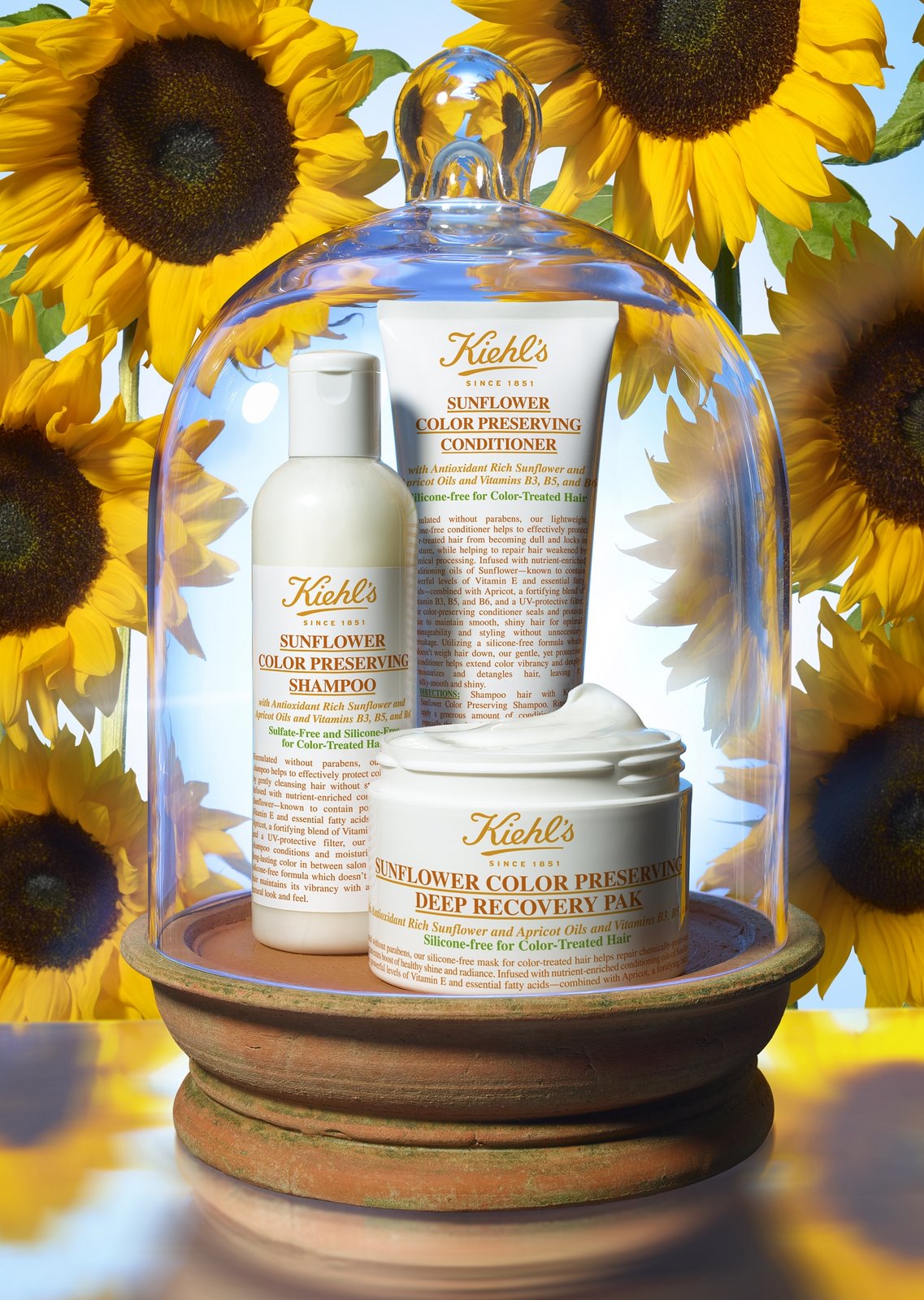 Kiehl's-Sunflower-Color-Preserving-Hair-Care-Collection