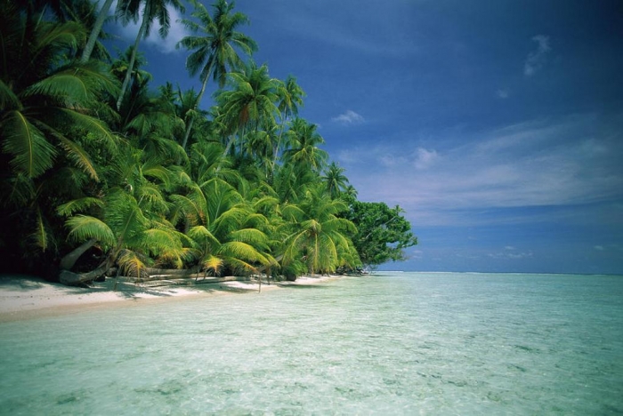 Papua New Guinea palm-tree-lined-beach-papua-new-guinea-kevin-deacon