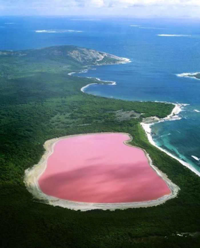 Hiller lake(pink lake) - Western Australia