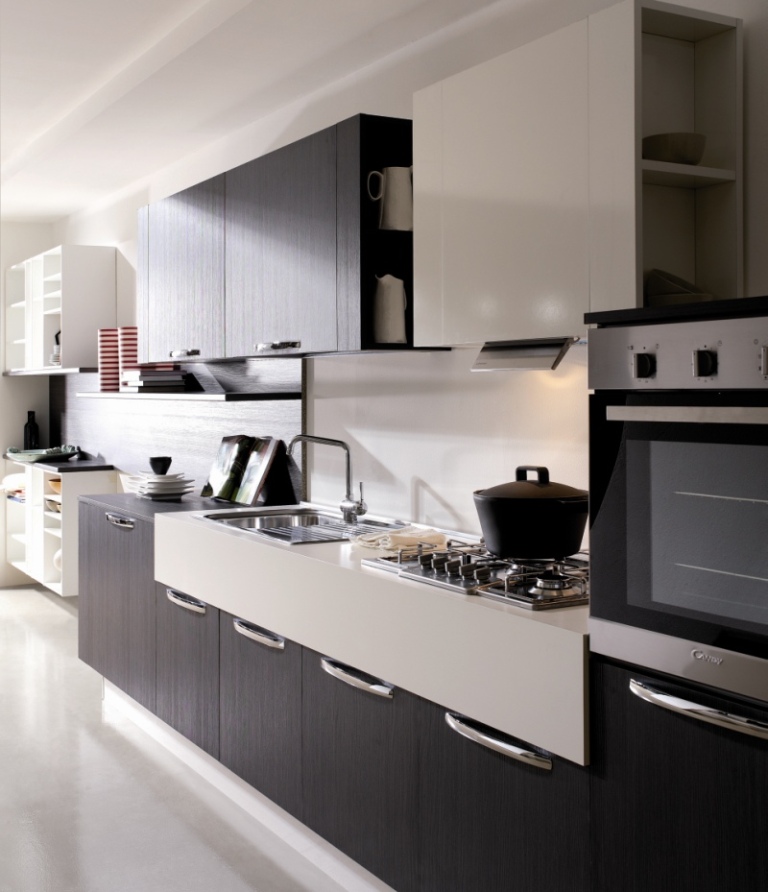 modern-kitchen-cabinets-erika