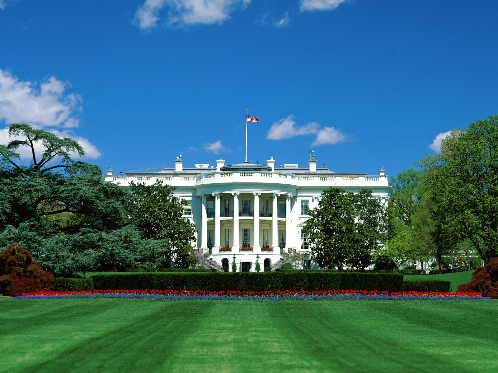 8   The White House (Washington)