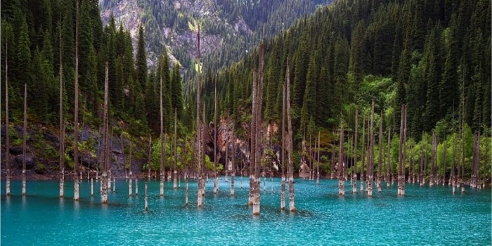 The underwater forest of Lake Kaindy