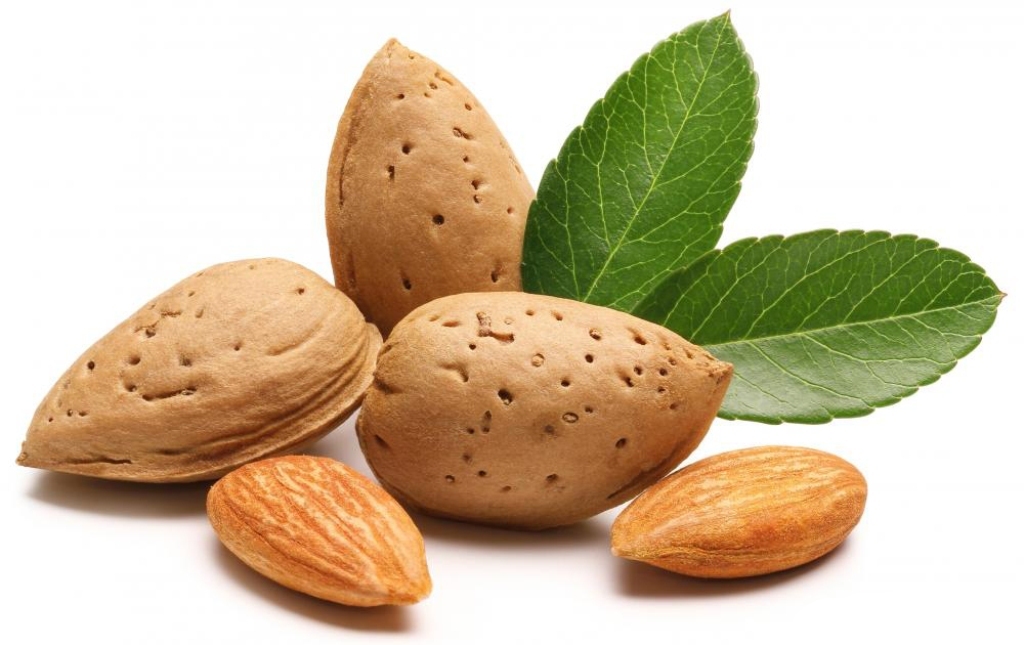 almonds-in-the-shell-and-shelled