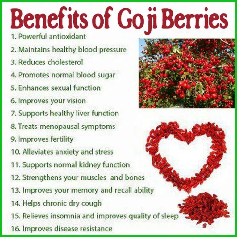 benefit-of-goji-berry