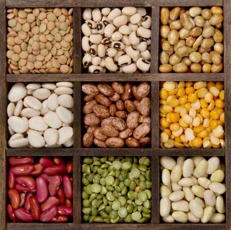 bountiful-beans