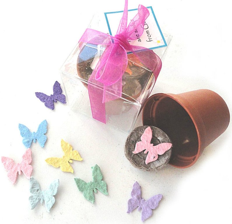 party_favors_seed_paper_butterfly__52183.1405436255.1280.1280