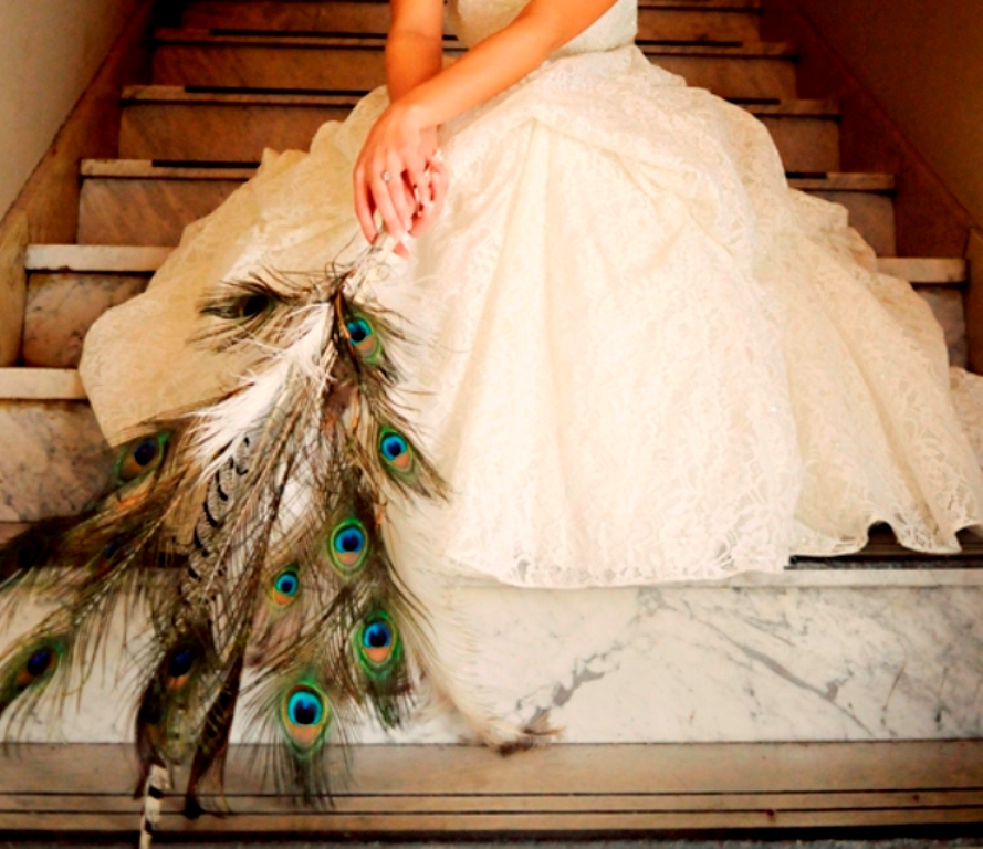 vintage-bride-peacock-feathers