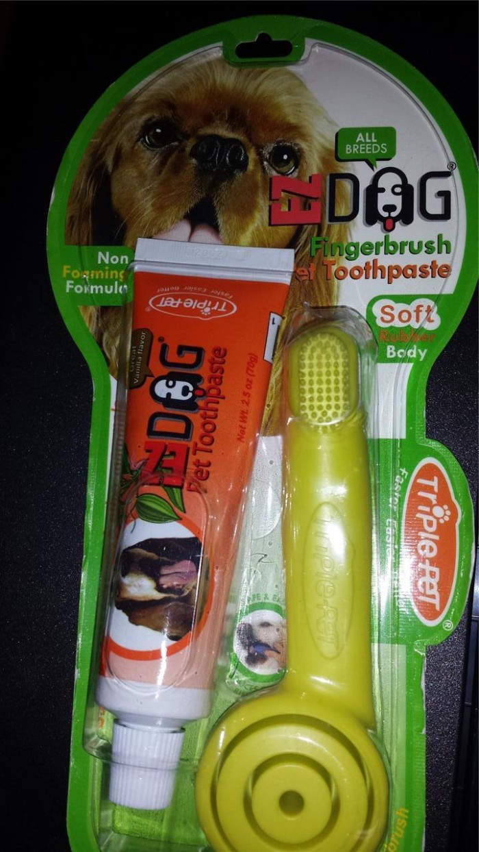 Top 10 Best Toothbrush For Dogs