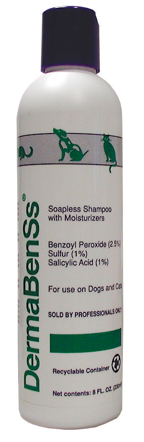 Top 10 Best Toothpaste Brands For Dogs