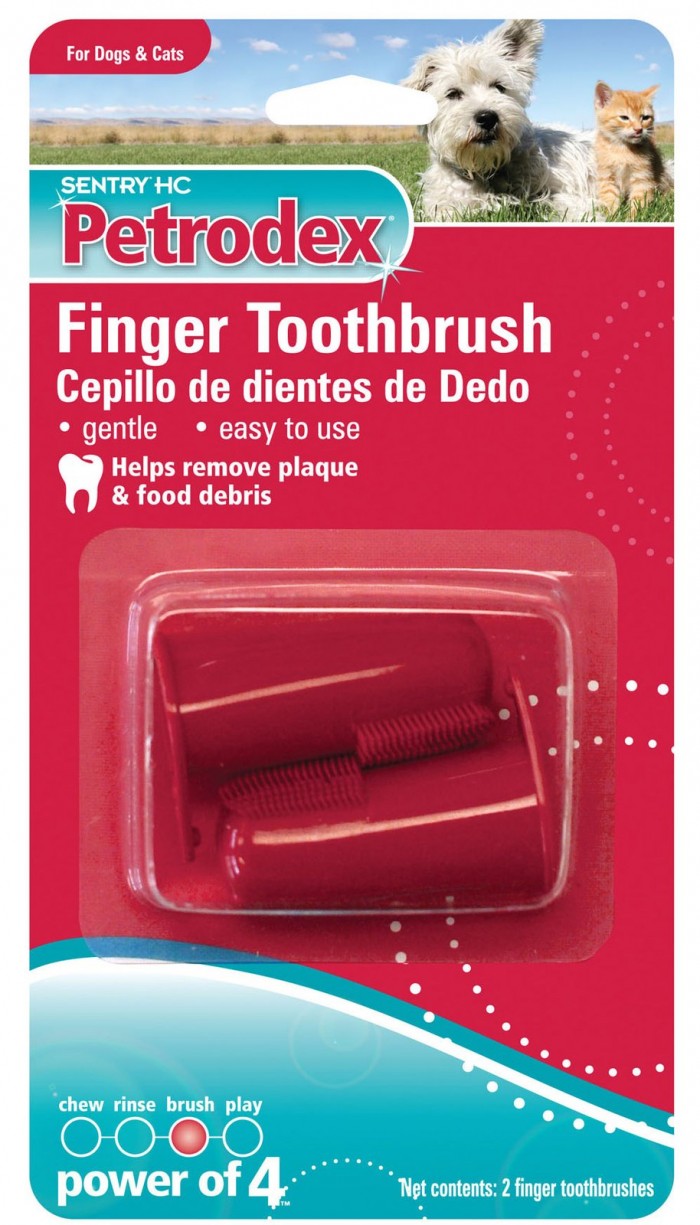 Top 10 Best Toothbrush For Dogs