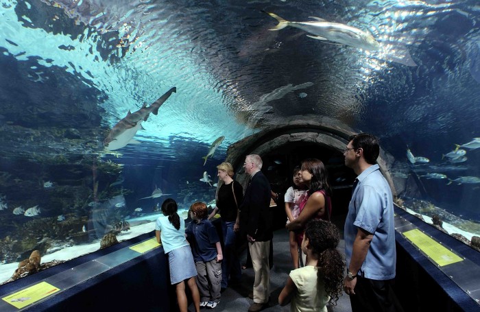 Camden-Aquarium