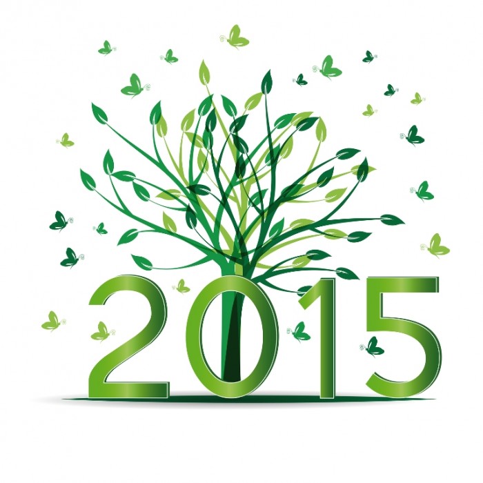 happy-new-year-2015-free-HD-wallpaper