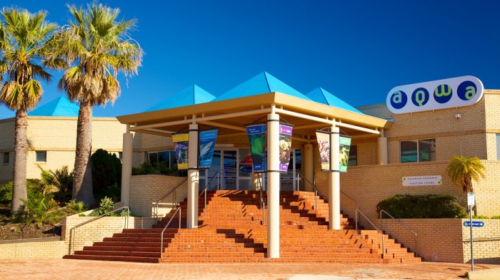 Aquarium-Of-Western-Australia-Aqwa-40128