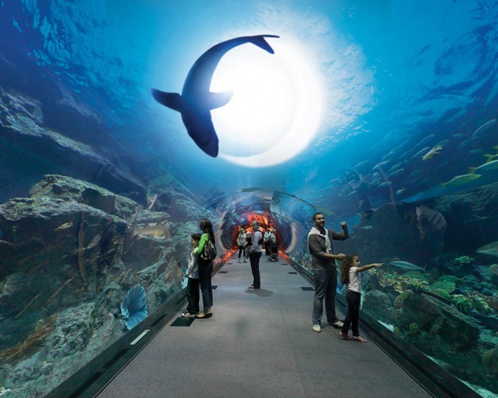 - Dubai Mall Aquarium