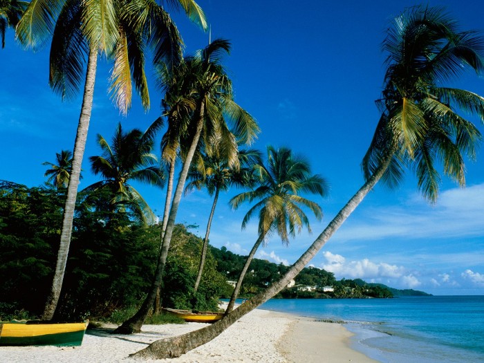 Grand-Anse-Beach-La-Digue-Island-Seychelles-02