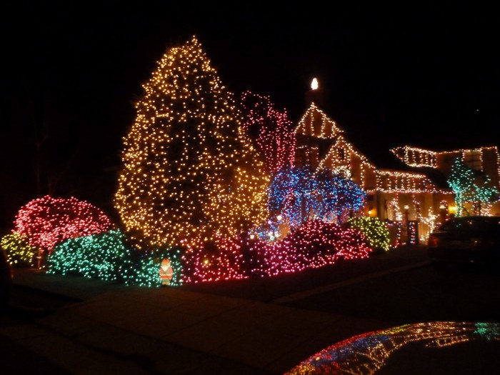 Top 10 Outdoor Christmas Light Ideas | TopTeny.com
