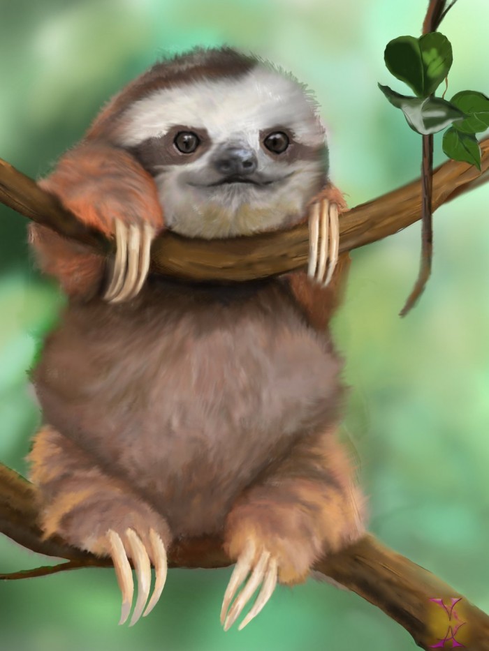 baby_sloth_by_violetadams-d6dbtl7