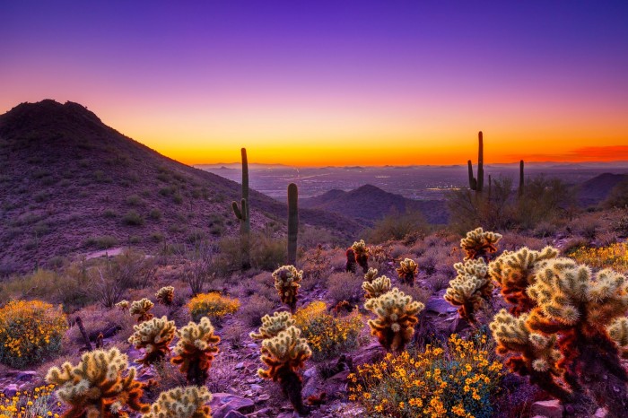 Top 10 Best Places to Live in Arizona | TopTeny.com