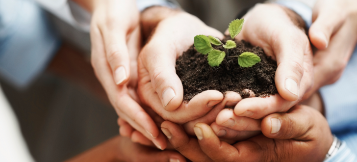 Top 10 Best Non-Profit Organizations 1 nonprofit1 Top 10 Best Non-Profit Organizations - 1 most non profit organizations
