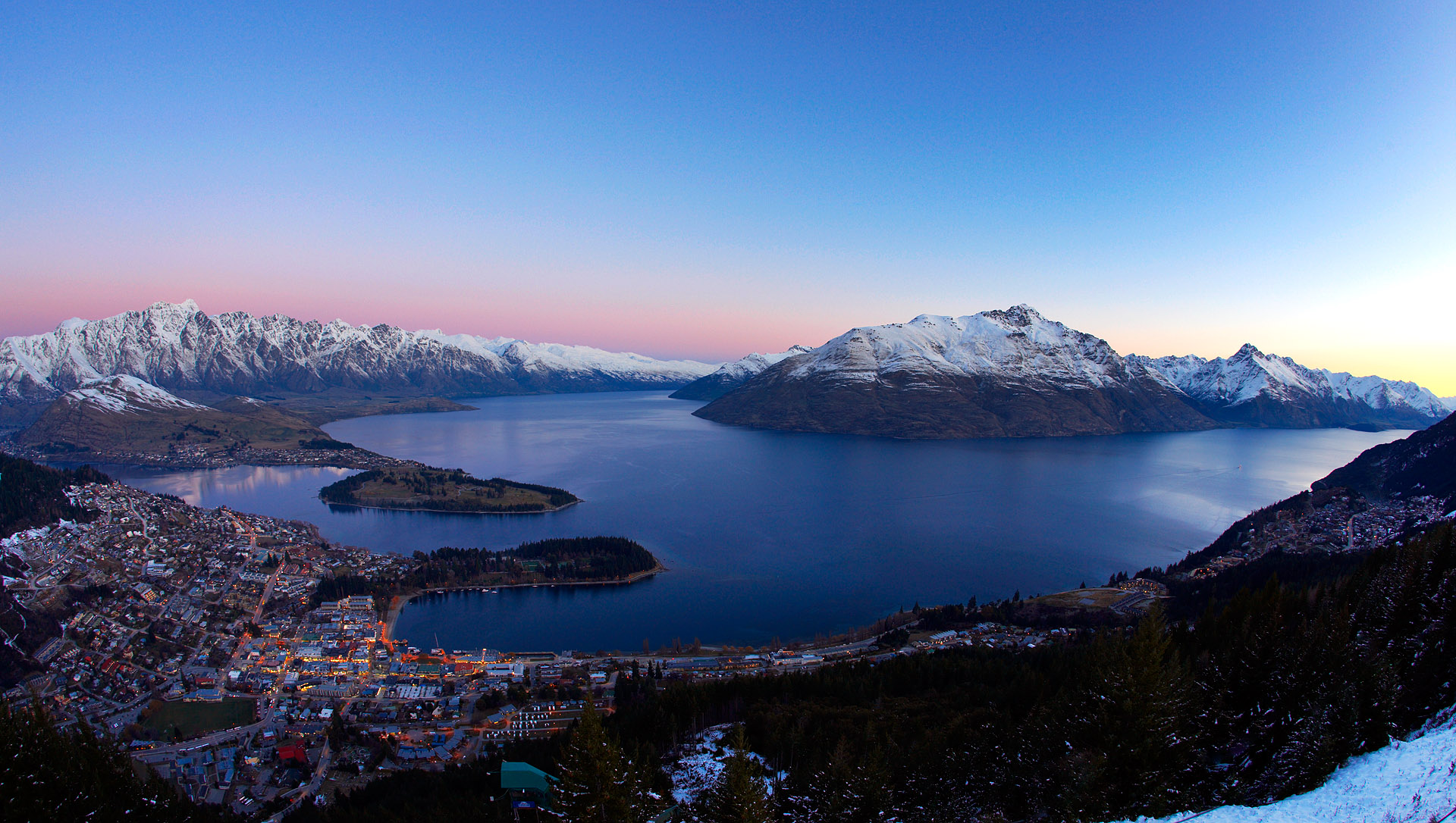 Dark markets new zealand