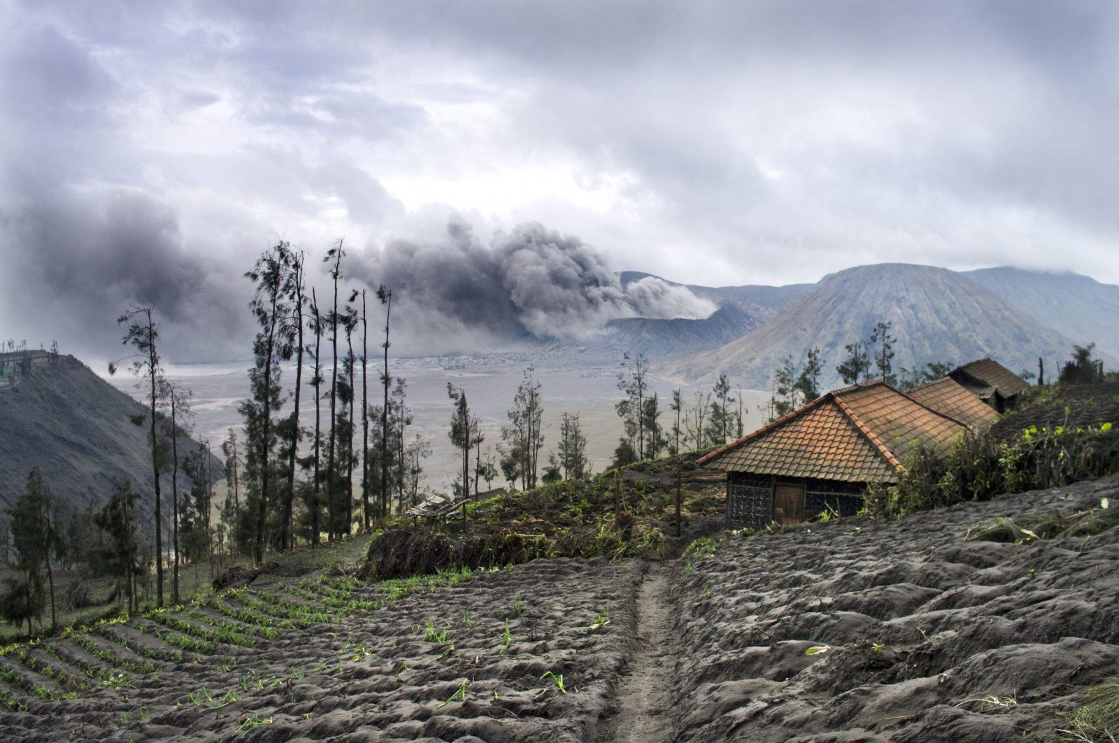 mount-bromo-volcano-java-house-on-a-foreground-1600x1062