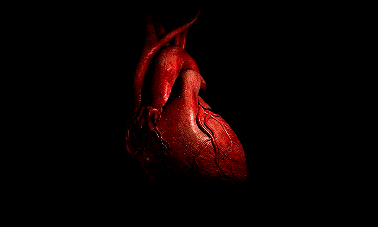 heart 6