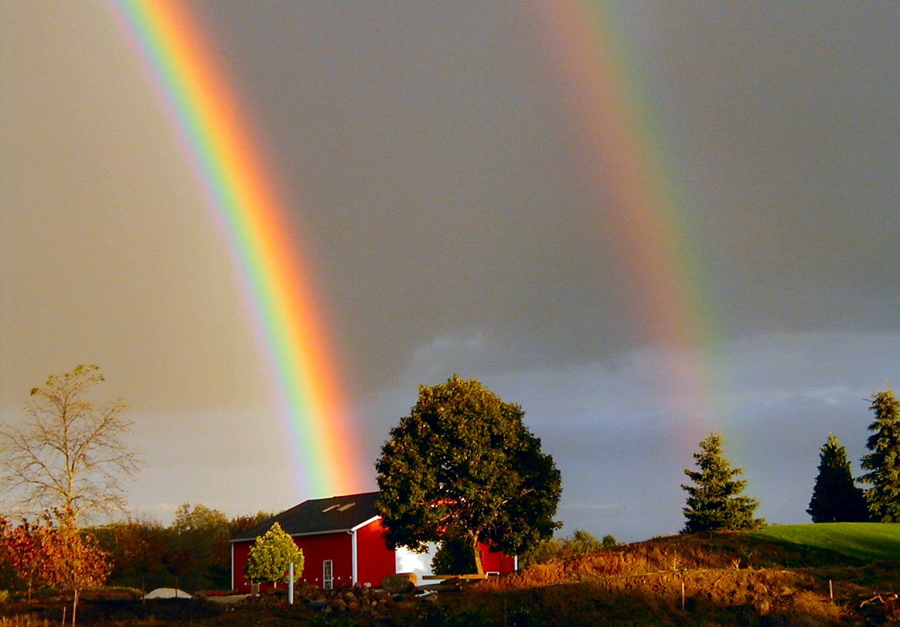 two rainbow