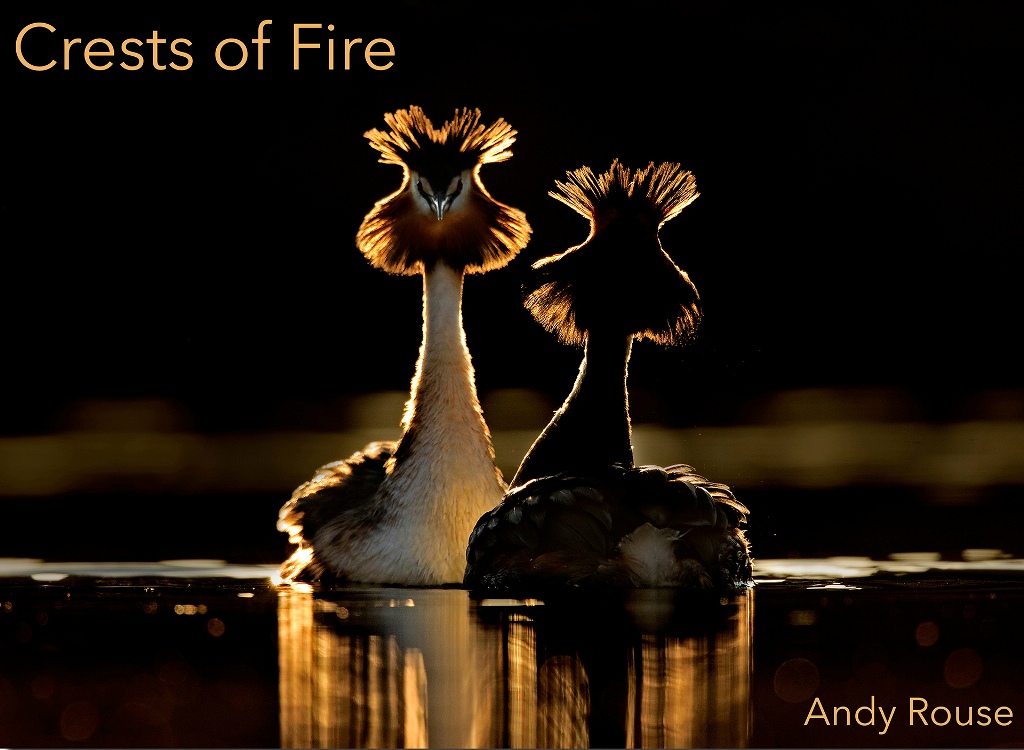 Crests of Fire by Andy Rouse