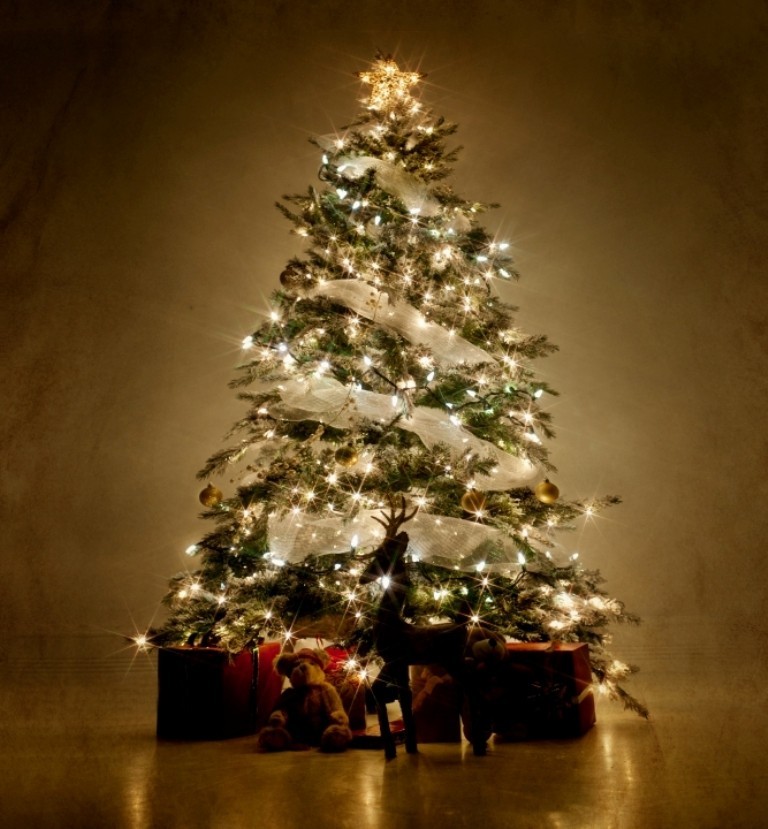 christmas tree decorating ideas (13)