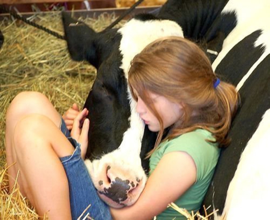 Communicating with animals (1)