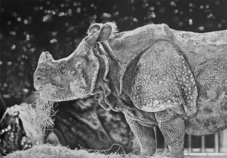 Top 10 Best Pencil Artists in the World TopTeny Magazine