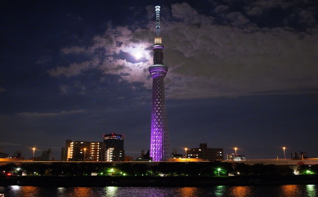Tokyo (3)