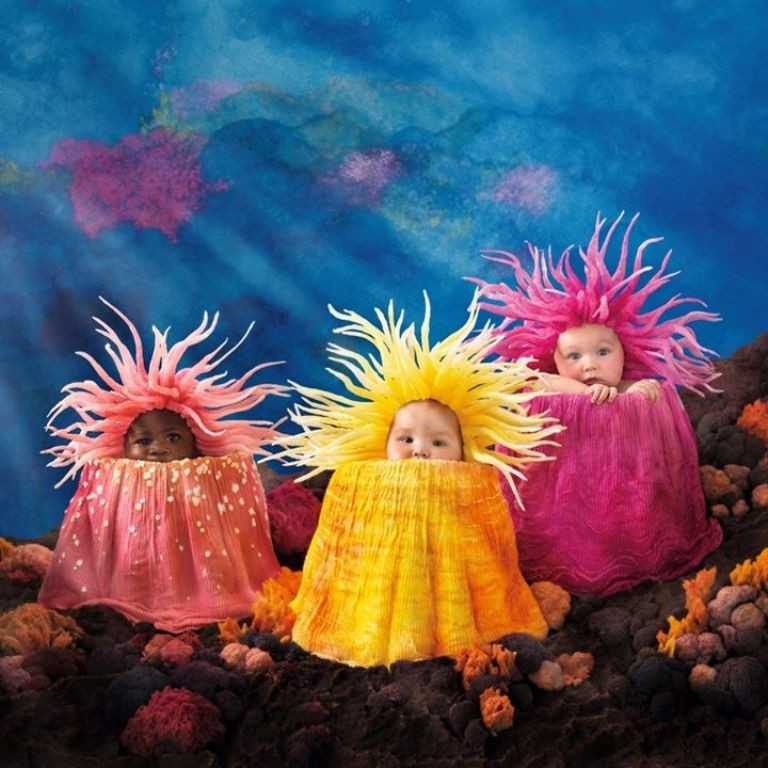 Anne Geddes (3)