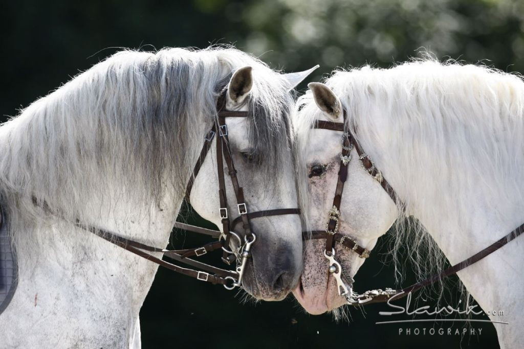 Christiane Slawik (9)