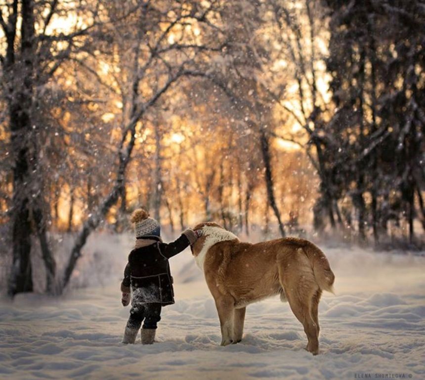 Elena Shumilova (3)