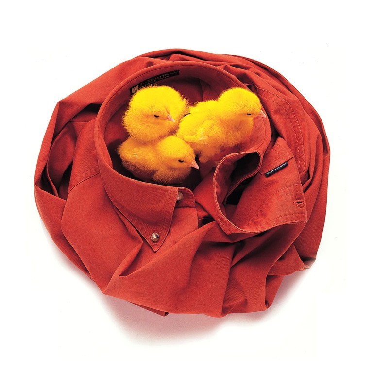 Sharad Haksar (2)