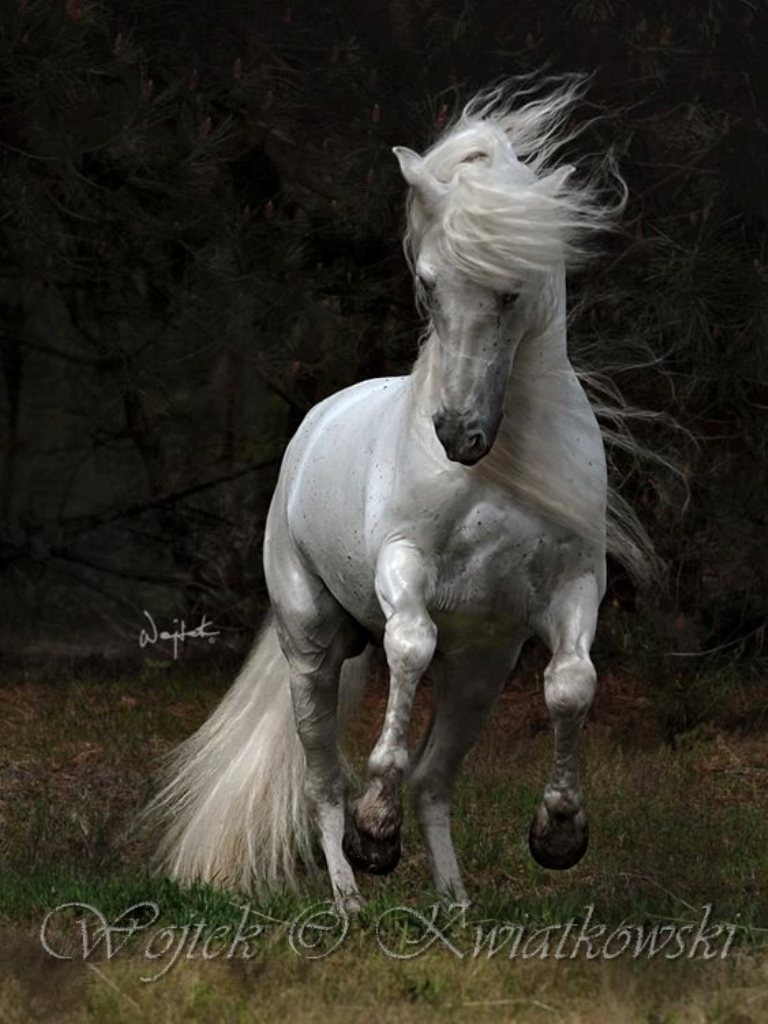 Wojtek Kwiatkowski (4)