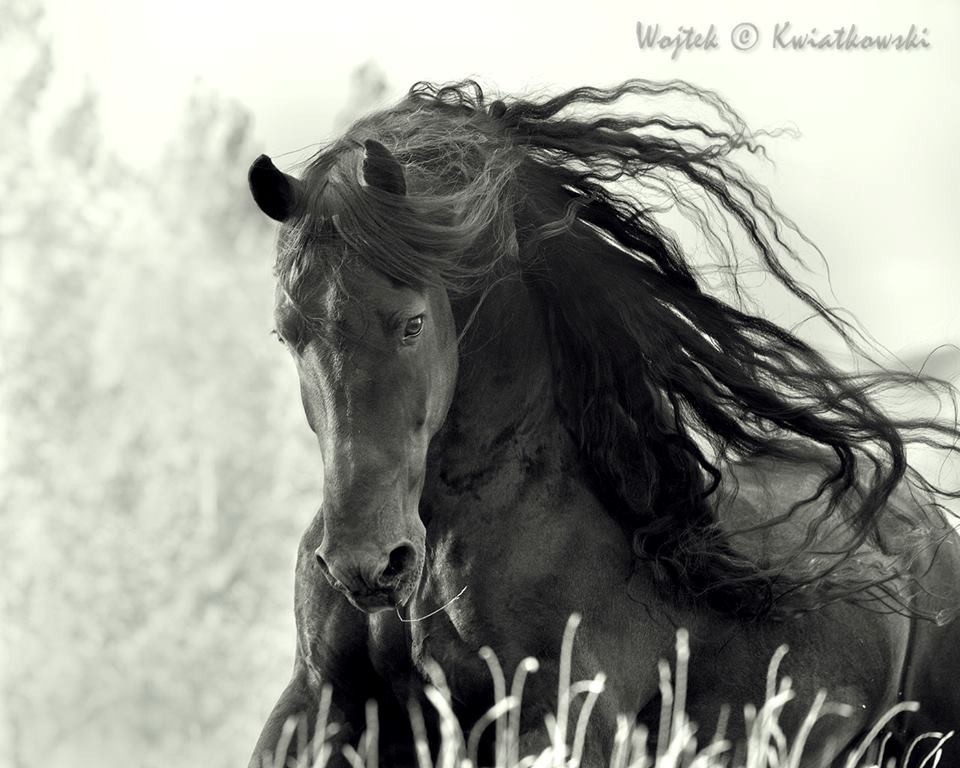 Wojtek Kwiatkowski (9)