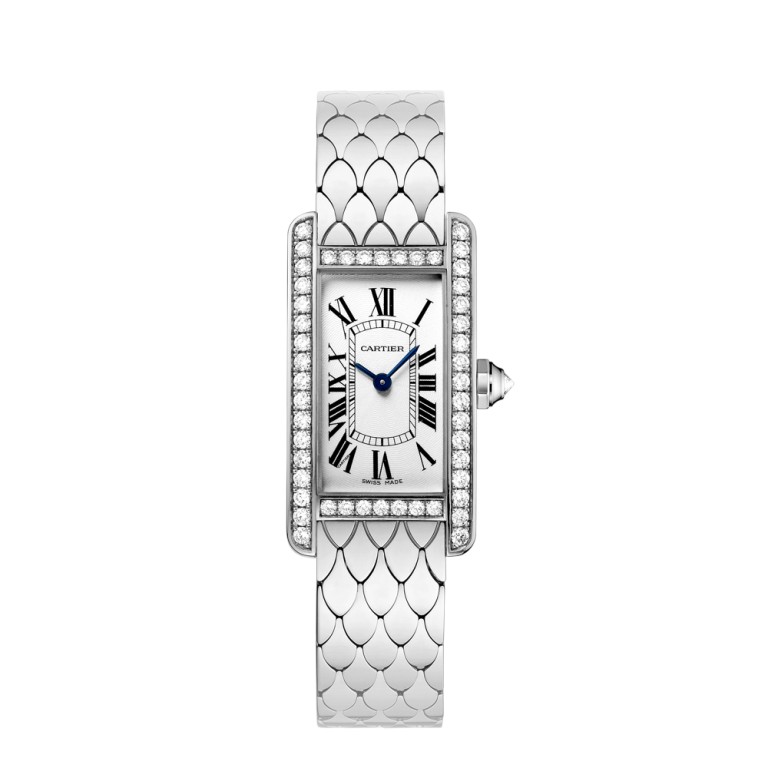 luxury watch (1)