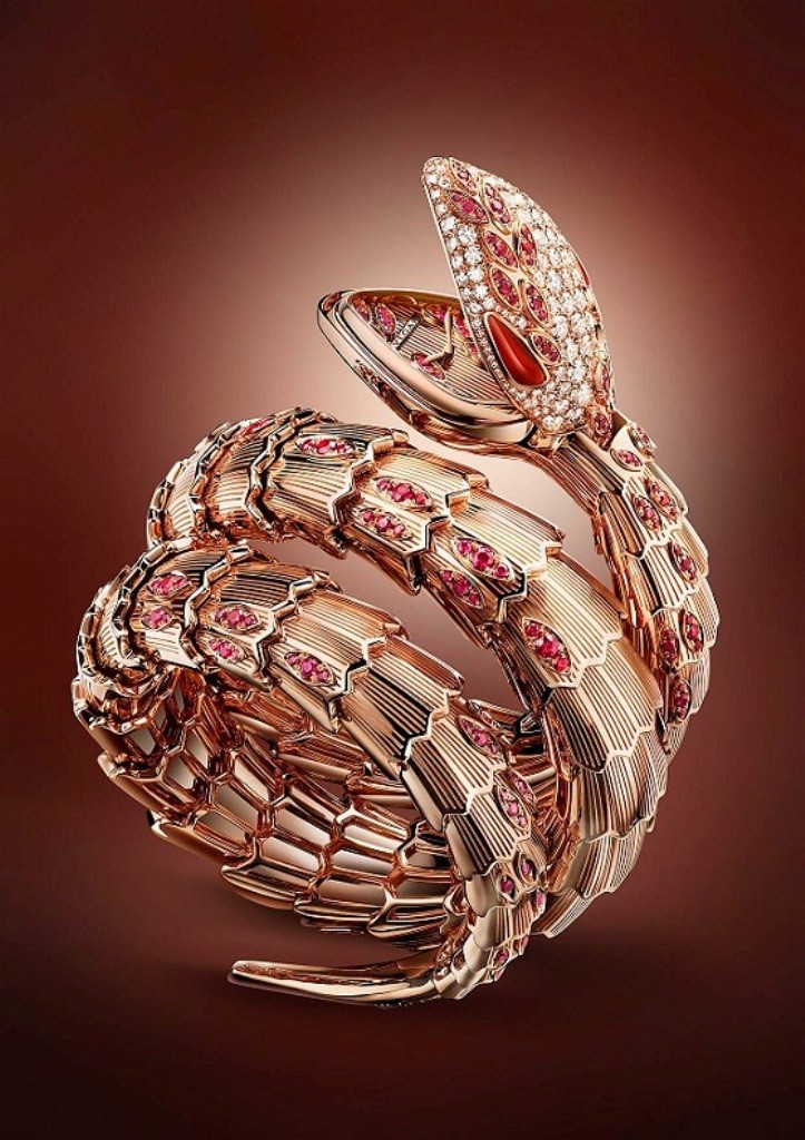 luxury watch (3)
