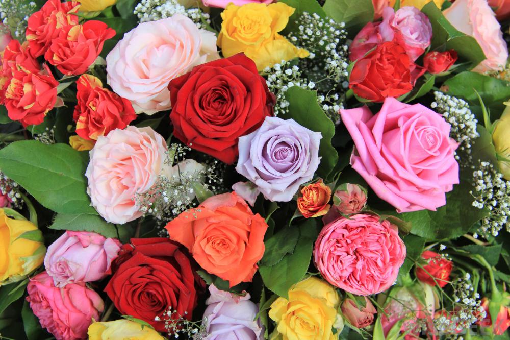 rose-bouquet-different-colors