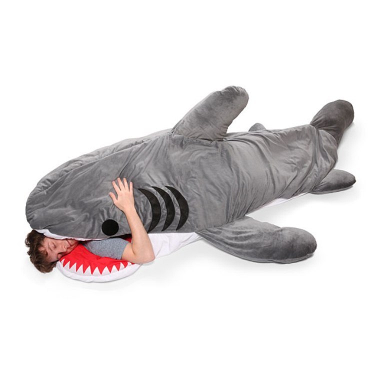 sleeping bags (1)